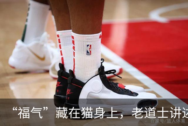 “福气”藏在猫身上，老道士讲述：它爱呆的地方，是守护你家财路