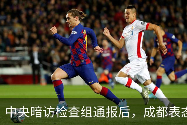 中央暗访检查组通报后，成都表态：已立案调查，拟顶格处罚