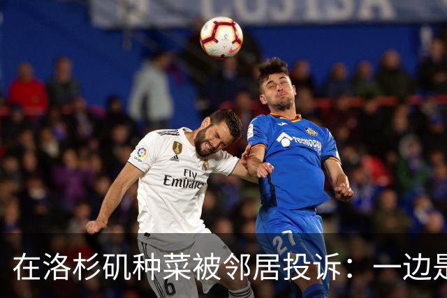 在洛杉矶种菜被邻居投诉：一边是中国人的乡愁，一边是美国人的规矩