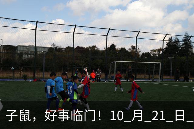子鼠，好事临门！10 月 21 日 至 10 月 25 日后两大喜事显现福运