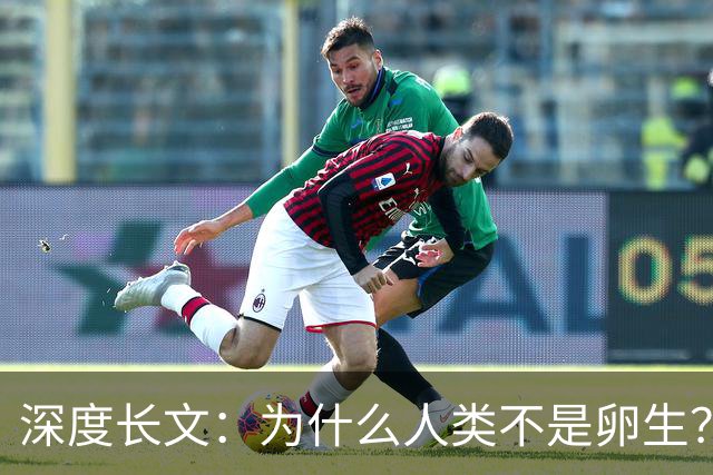 深度长文：为什么人类不是卵生？说出来你可能不信，这事3亿年前就定好了