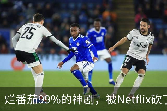 烂番茄99%的神剧，被Netflix砍了7年还在被催更