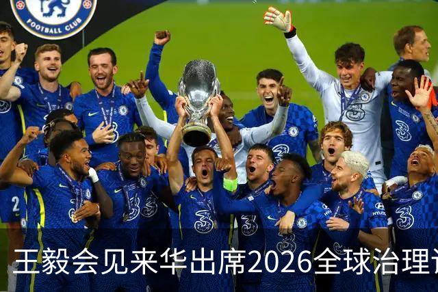 王毅会见来华出席2026全球治理论坛（雄安）的客人