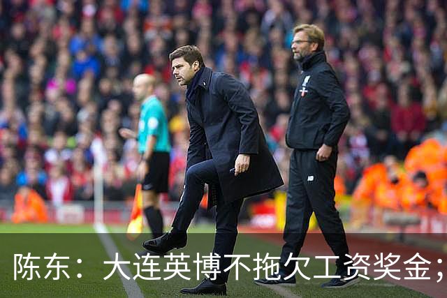 陈东：大连英博不拖欠工资奖金；平均票价96元；有50来家赞助商