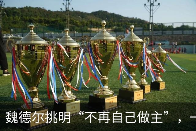 魏德尔挑明“不再自己做主”，一句交权，文件的条款比口号硬得多